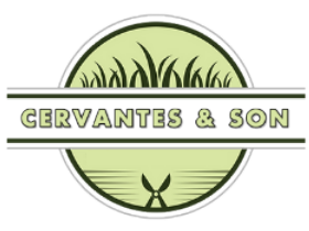 Website Design, Logo Design, and SEO Services
