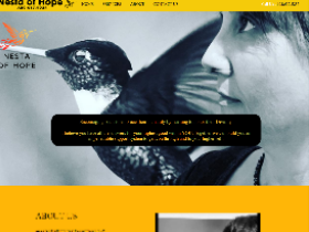 Website Design, Logo Design, and SEO Services