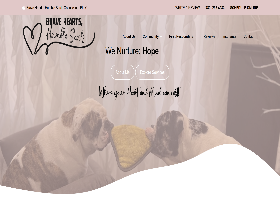 Website Design, Logo Design, and SEO Services
