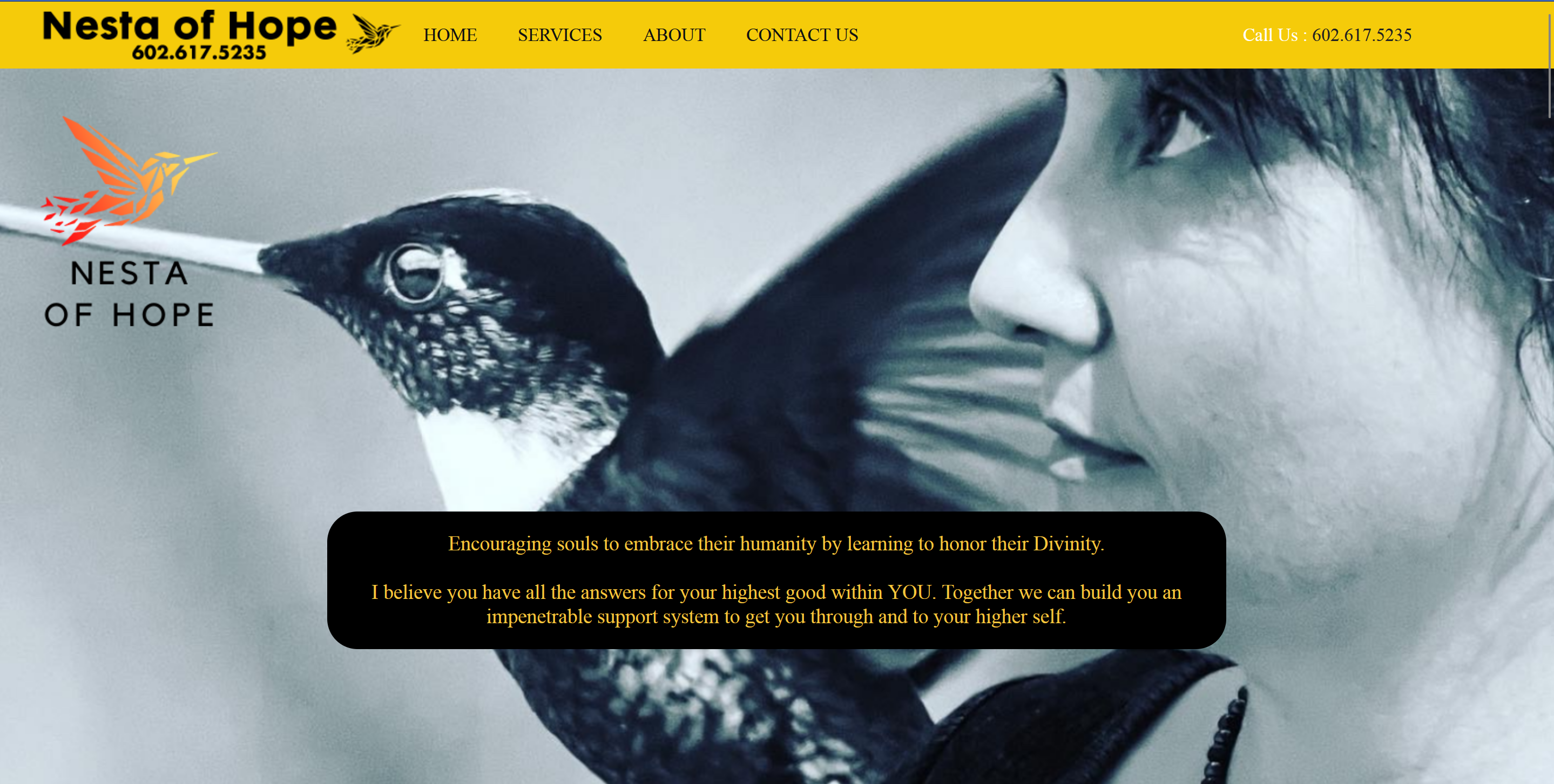 Nonprofit website design example