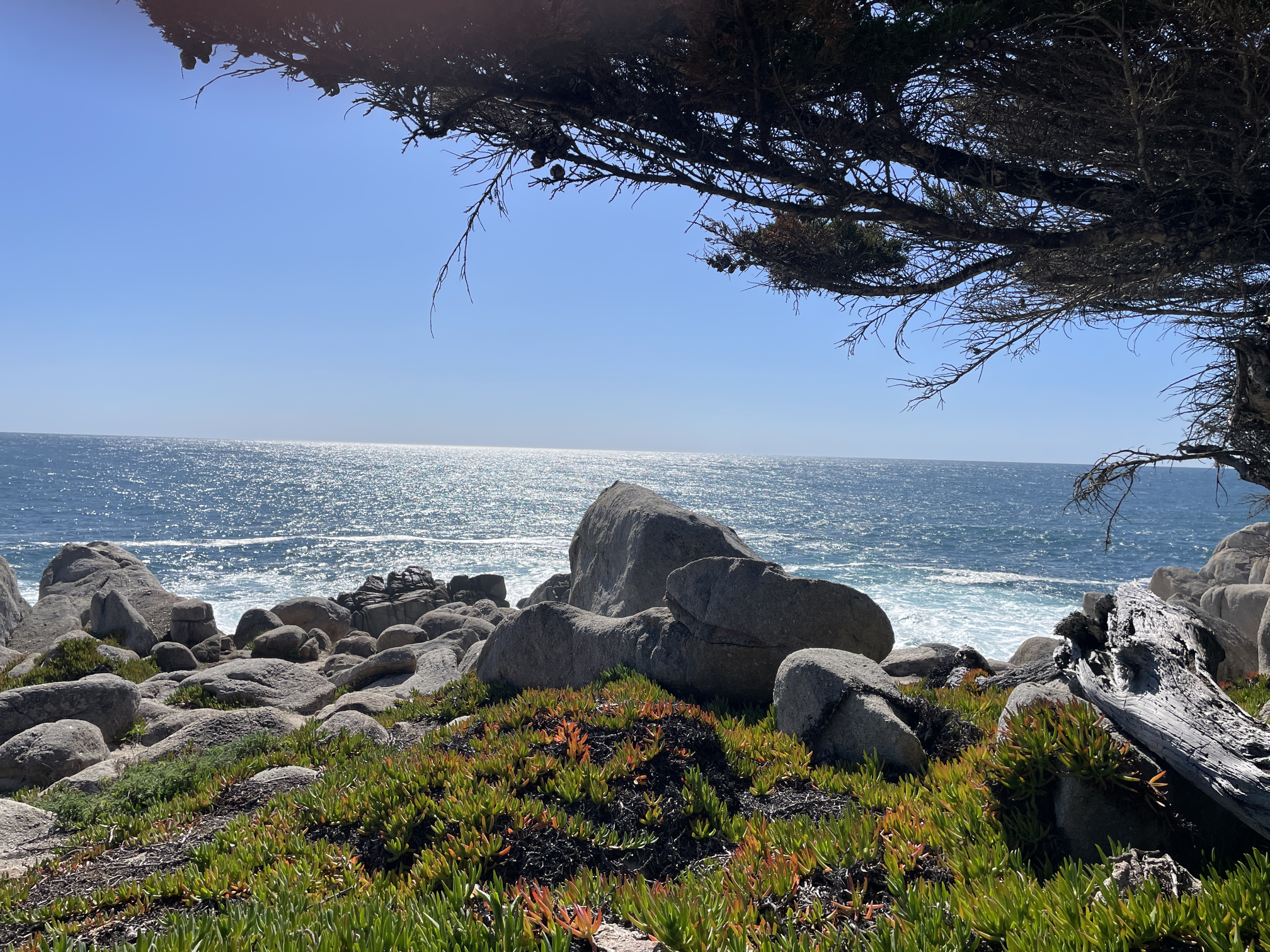 Executive business website