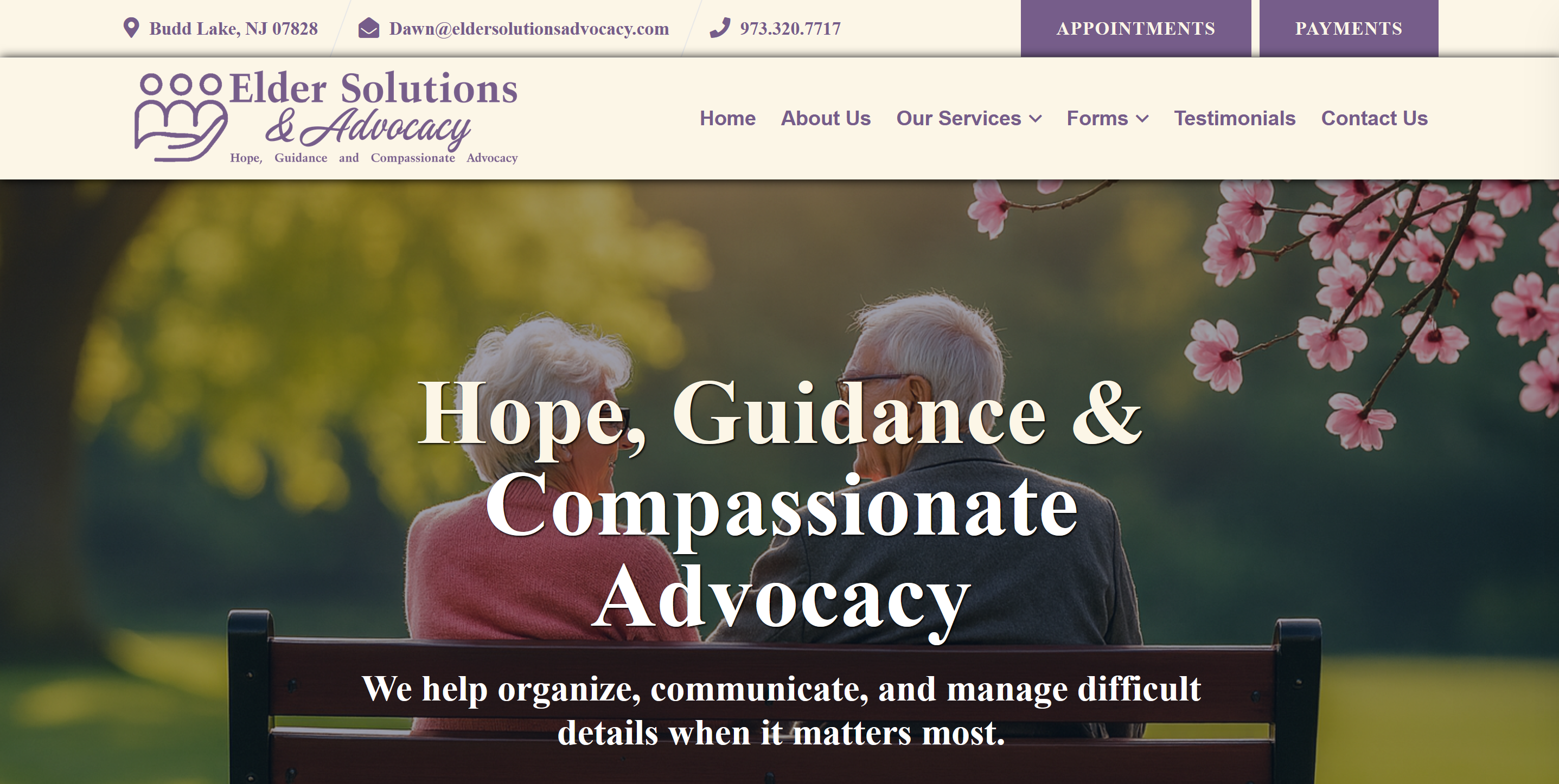 Executive business website